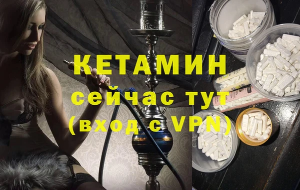 сатива Беломорск