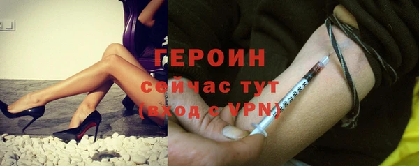 сатива Беломорск