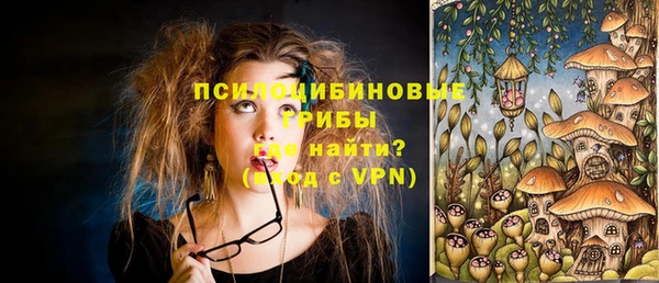 сатива Беломорск