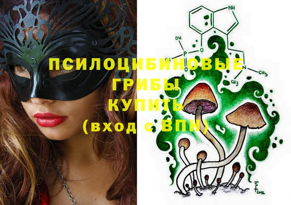 сатива Беломорск