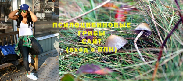 стафф Белоозёрский