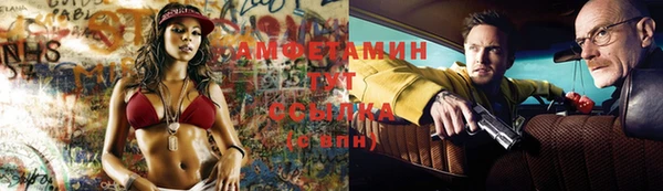 сатива Беломорск
