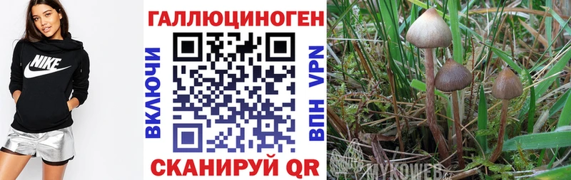 ОМГ ОМГ рабочий сайт  Кондопога  Псилоцибиновые грибы GOLDEN TEACHER 